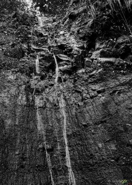 PAP5759_HDR_V1_BW