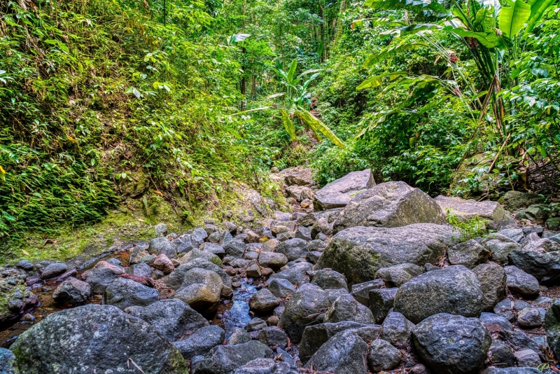 PAP5765_HDR