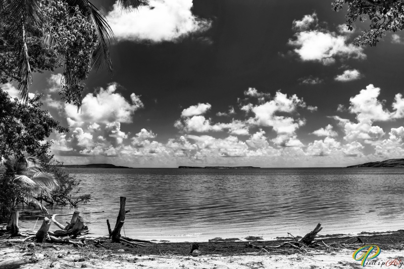 DSC0010-1_BW