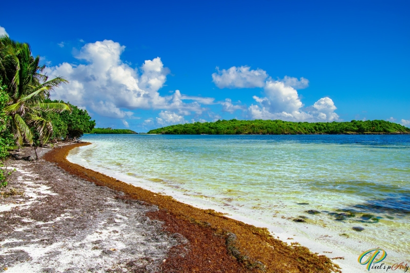 DSC0046-Modifier-Modifier