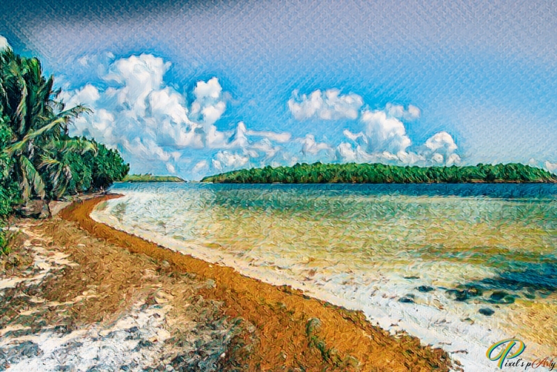 DSC0046-Modifier-Paint