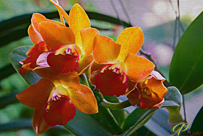 DSC2254-1_Paint-1