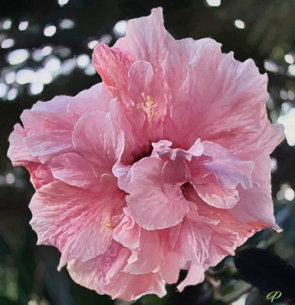 QAHI3369_Paint
