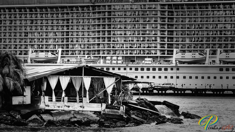 DSC00292_BW