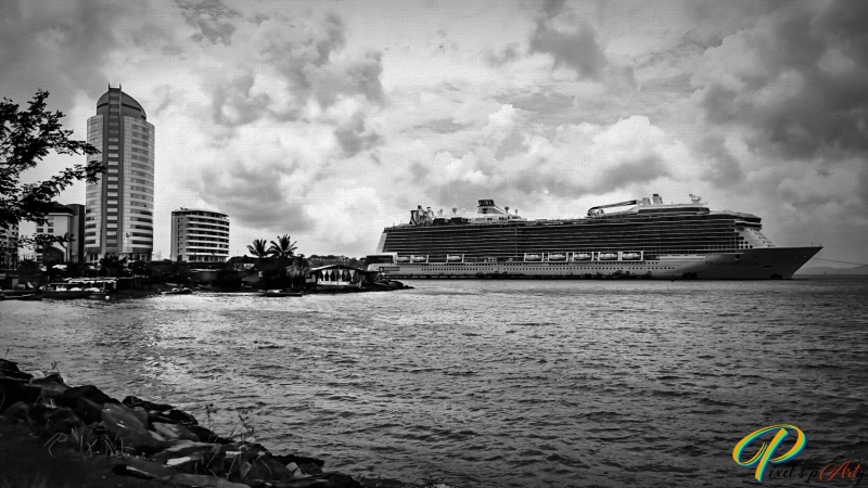 DSC00295_BW1