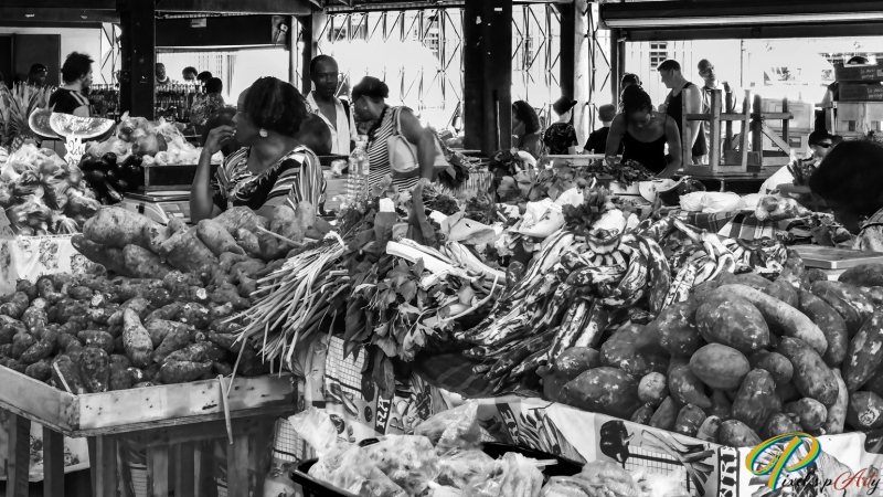 DSC00346_BW