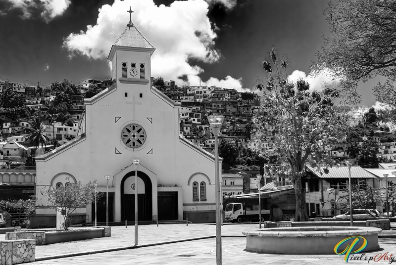 DSC00484_BW