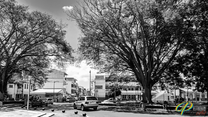 DSC00487_BW