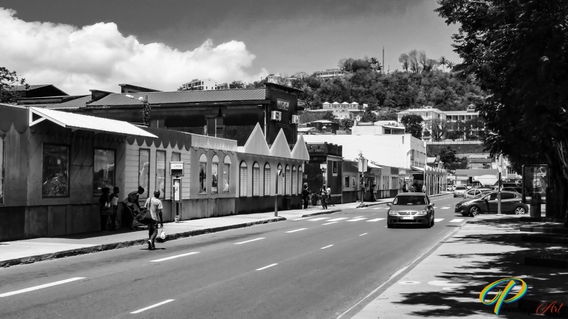 DSC00489_BW