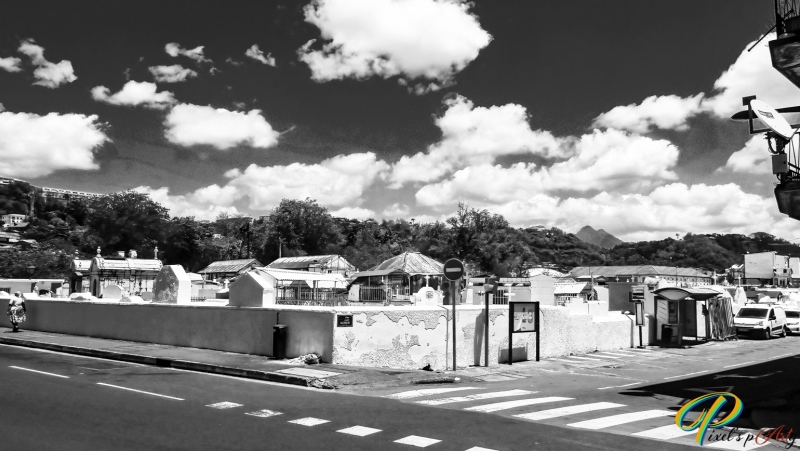 DSC00495_BW