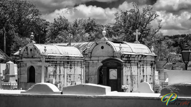 DSC00497_BW