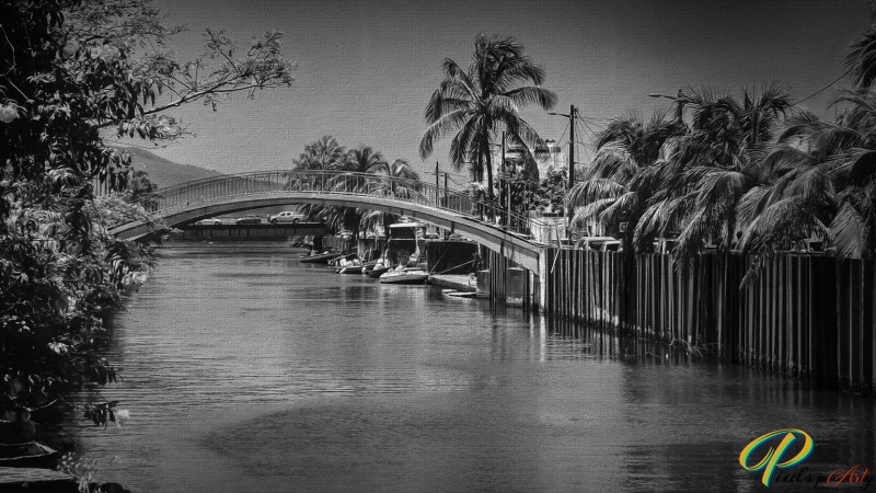 DSC00506_BW