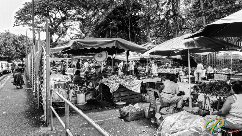 DSC00511_BW