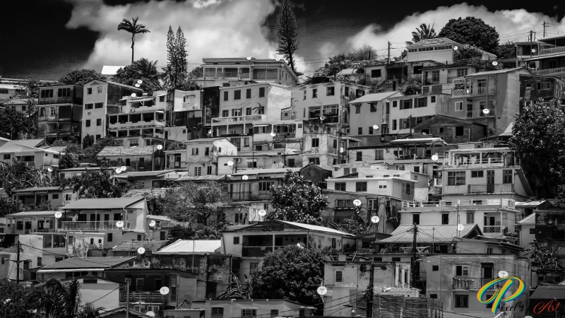 DSC00534_BW