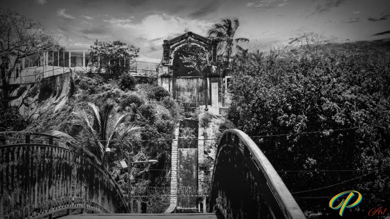 DSC00547_BW