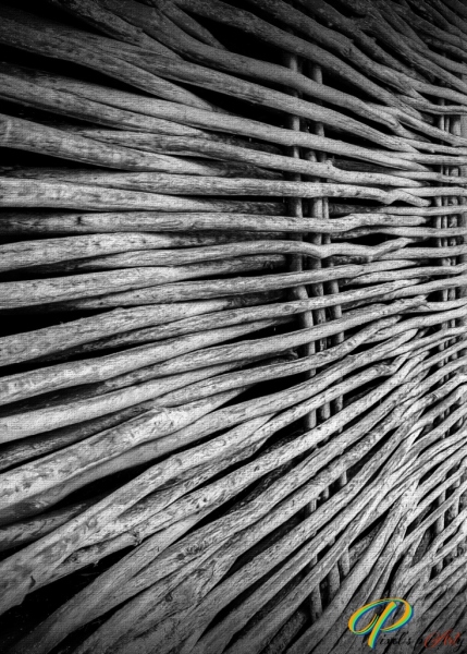 DSC8169_V1_Paint_BW