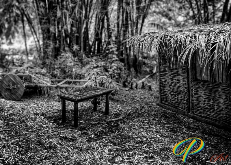 DSC8174_BW