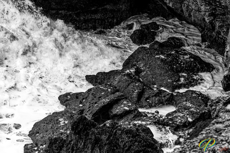 PAP7597_BW