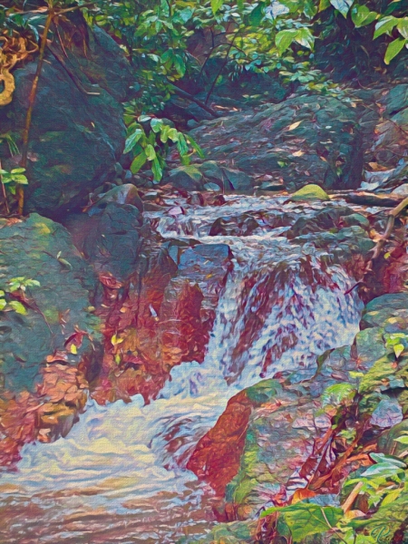 IMG_2449_Paint