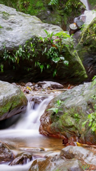 PAP6353-Paint_V2_Paint