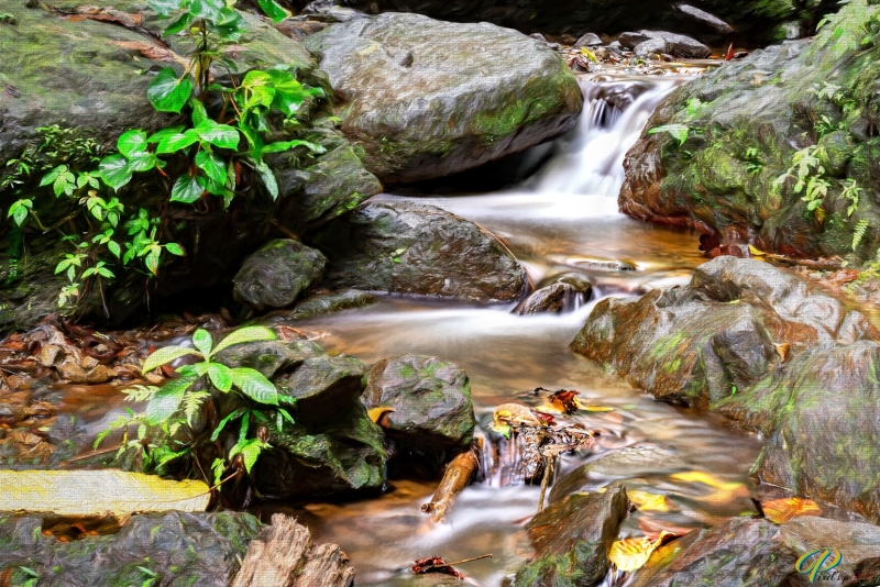 PAP6354-Modifier_Paint