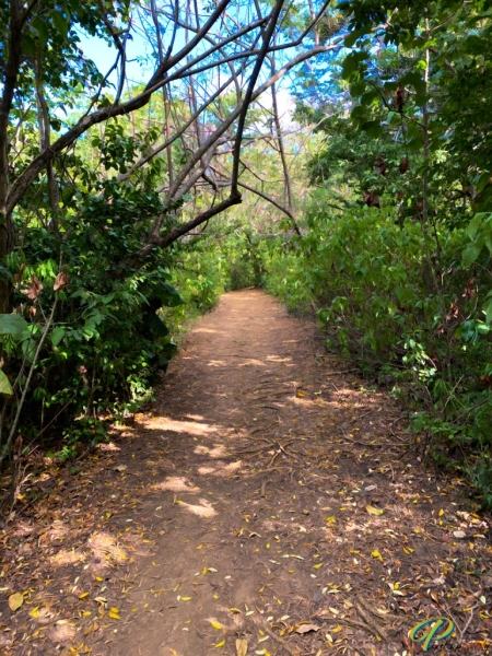 IMG_3386_Cor_Topaz_PP