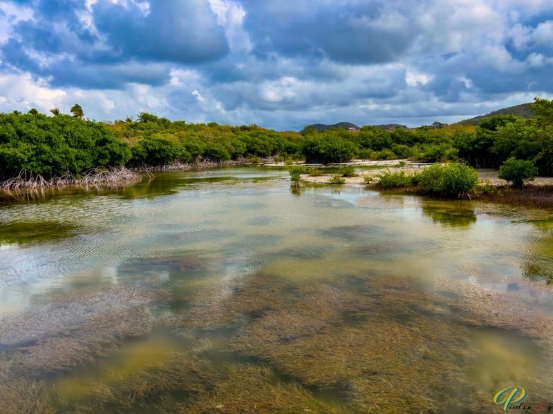 IMG_3455-Avec-accentuation-1_V1