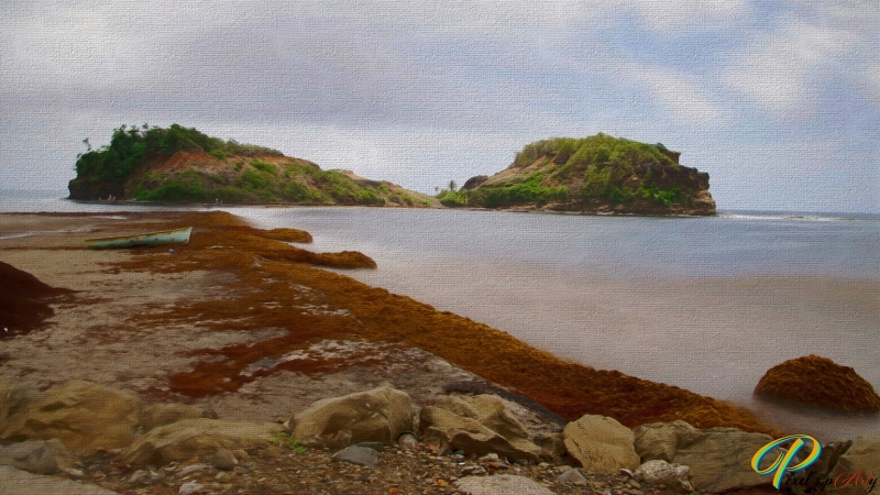 DSC0086_Paint