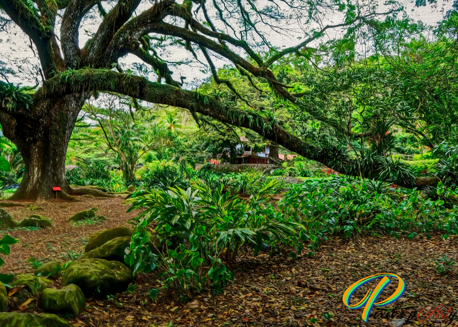 Le Zamana de l'habitation Céron